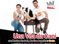 Una Vita Da Cani