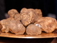 Tartufo bianco, a San Miniato la 49esima Mostra Mercato