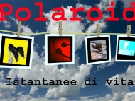 Nuovi Programmi in Partenza! Polaroid: Istantanee di Vita con Roberta Riccardi